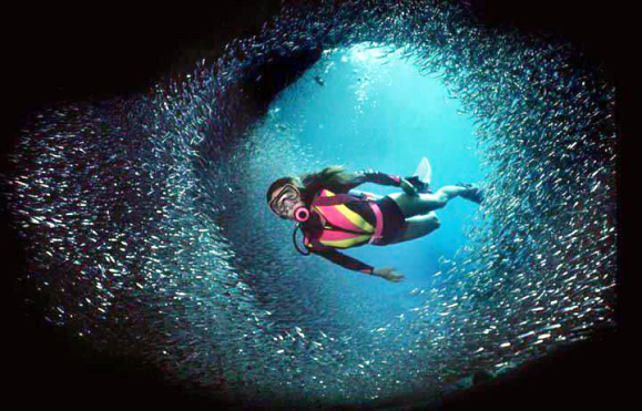 Picture of a scuba diver swimming in a dark ocean surrounded by a school of small shining fish
